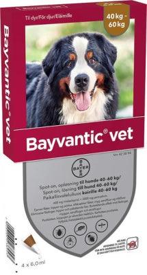 Bayvantic Vet Koirille 40-60 kg 600 mg/3000 mg Paikallisvaleluliuos