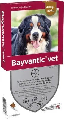 Bayvantic Vet Koirille 40-60 kg 600 mg/3000 mg Paikallisvaleluliuos - Image 2