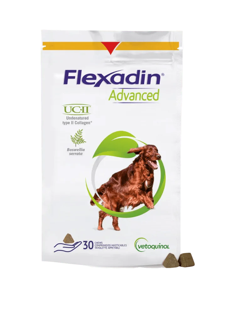 Flexadin Advanced Purutabl