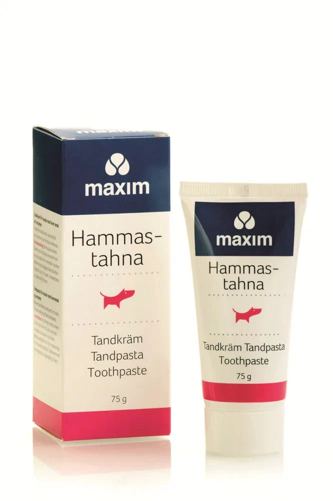 Maxim Koiran Hammastahna - Image 2