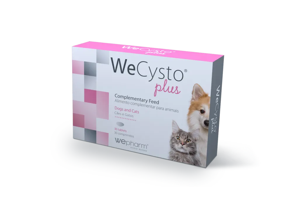 Wecysto Plus Makutabletit - Image 2